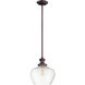 None 1 Light 12 inch Rubbed Bronze Pendant Ceiling Light